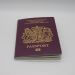 Burgundy Passport